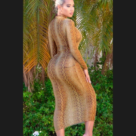 Snake print sheer cover up - Picture 2 of 2